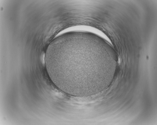 X0000088440041200705291618