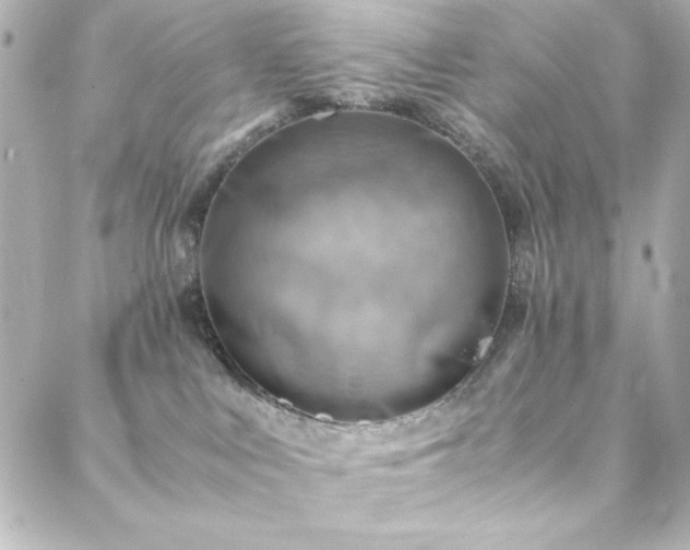 X0000088440043200705291618