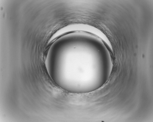 X0000088440045200705291618