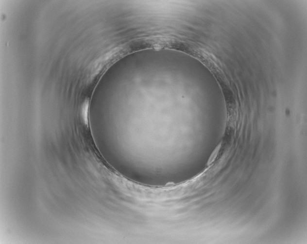 X0000088440047200705291618