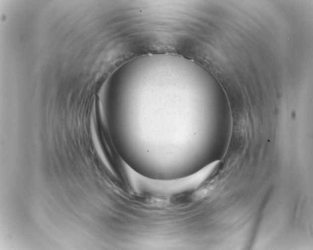 X0000088440084200705291618