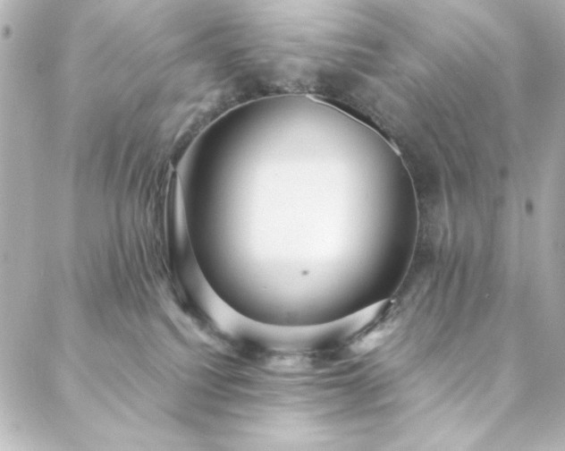 X0000088440088200705291618