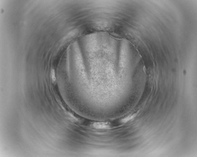X0000088440089200705291618