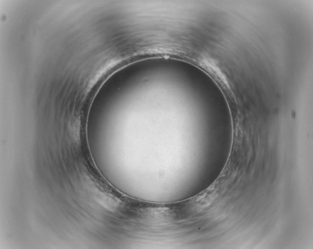 X0000088440108200705291617