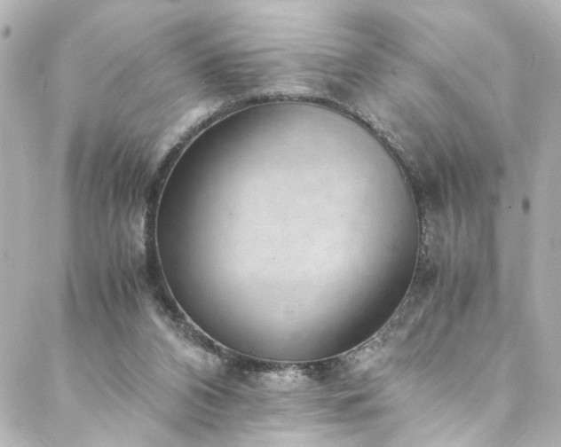 X0000088440112200705291617