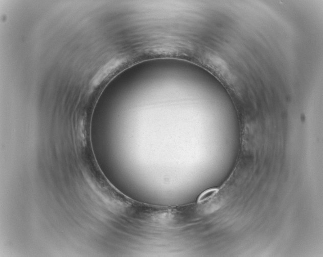 X0000088440116200705291617