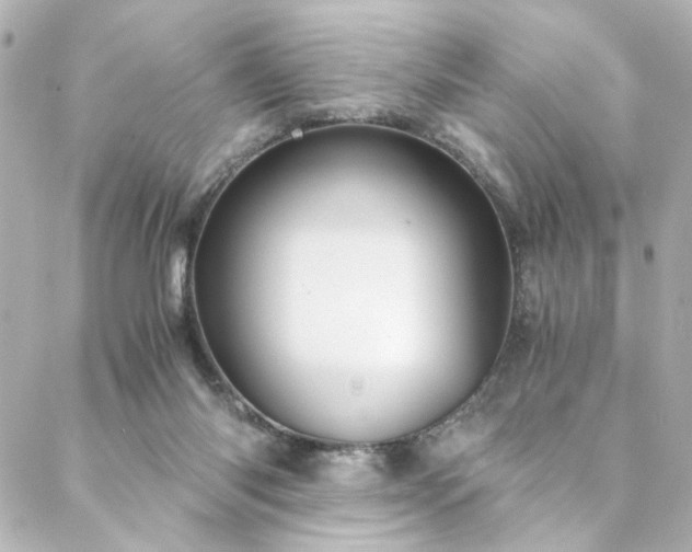 X0000088440118200705291617