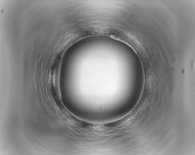 X0000088440121200705291617