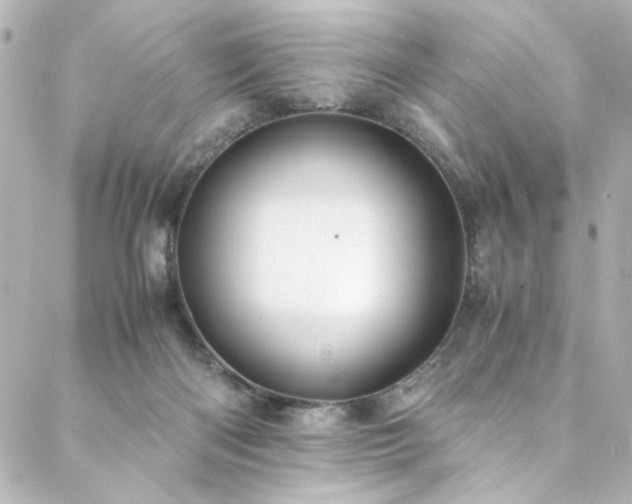 X0000088440122200705291617