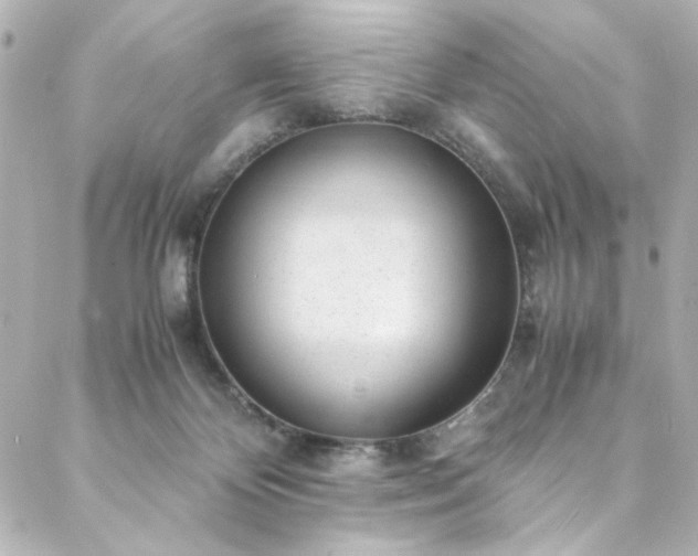 X0000088440124200705291617