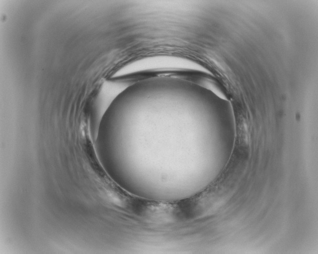 X0000088440125200705291617
