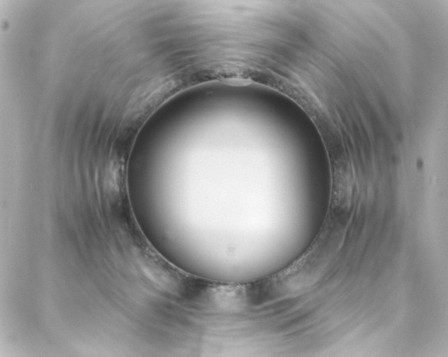 X0000088440126200705291617