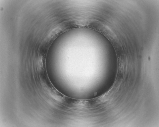 X0000088440128200705291617