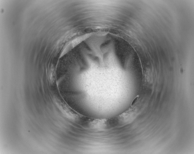 X0000088440138200705291617