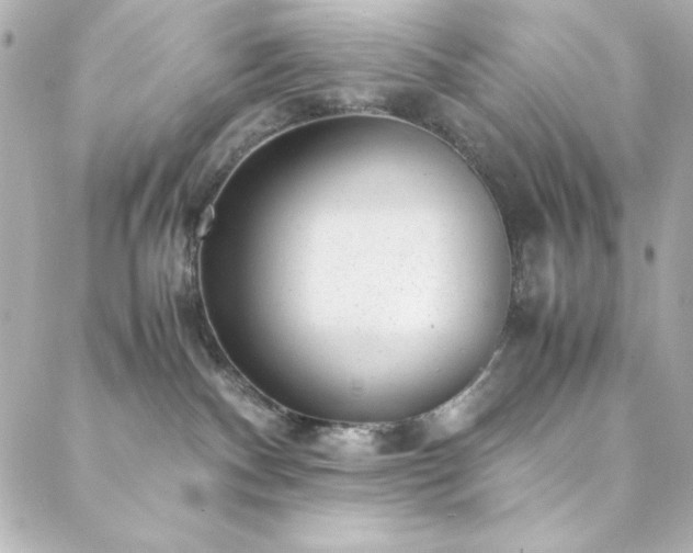 X0000088440140200705291617