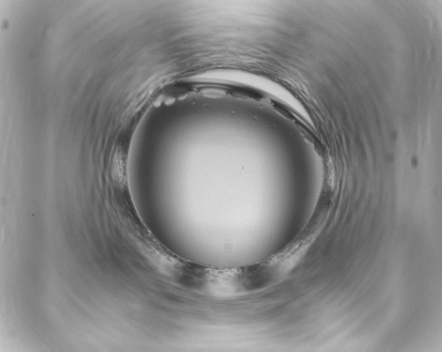 X0000088440143200705291617