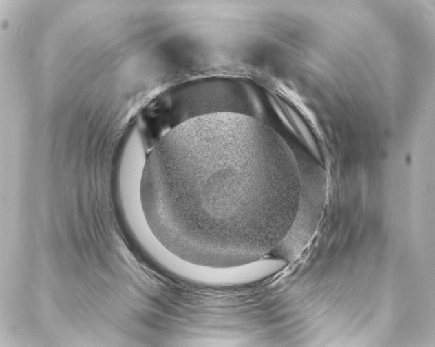 X0000088440154200705291616