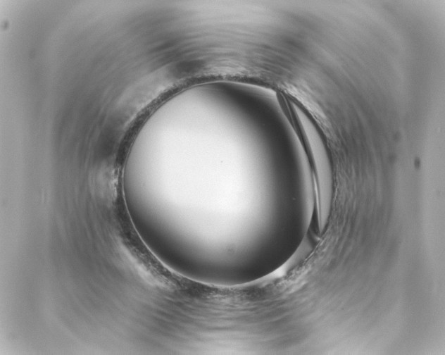 X0000088440160200705291616