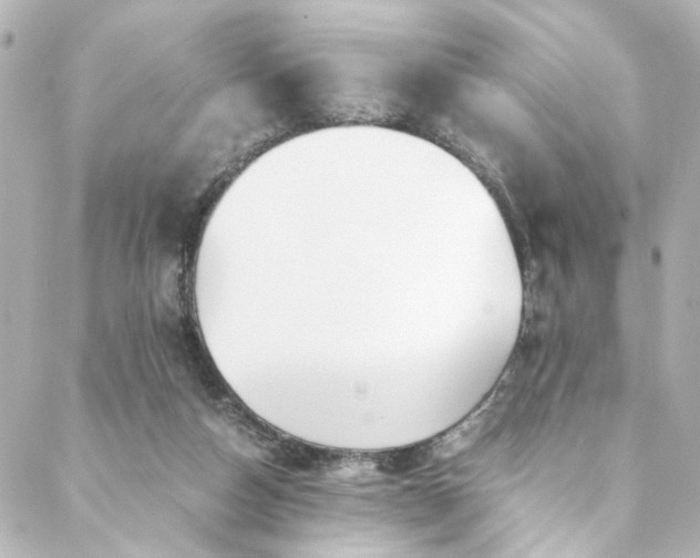 X0000088440162200705291616