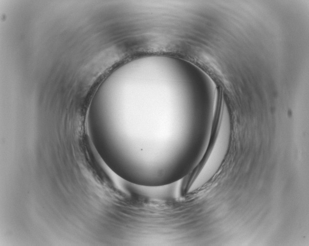 X0000088440164200705291616