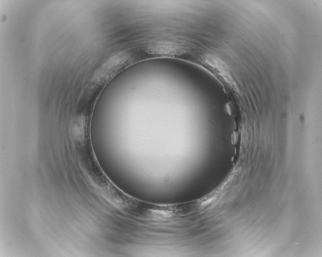 X0000088440167200705291616