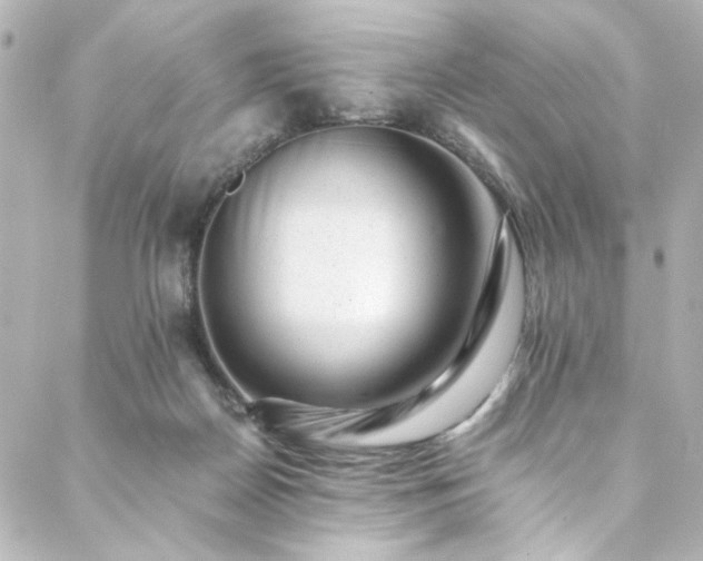 X0000088440170200705291616