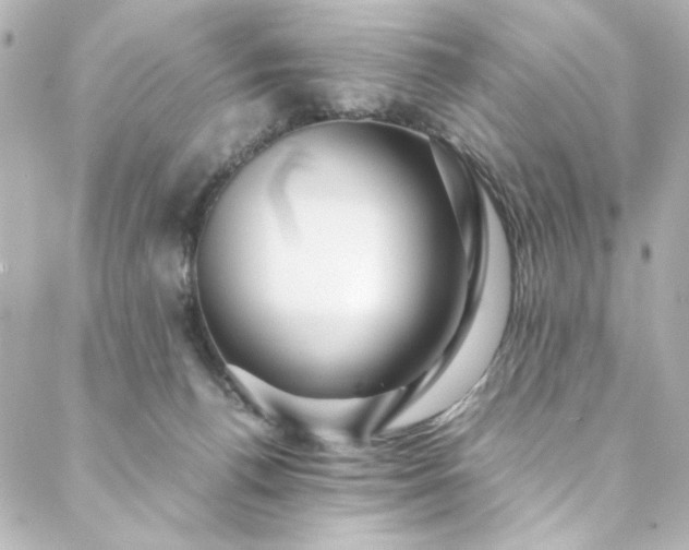 X0000088440176200705291616