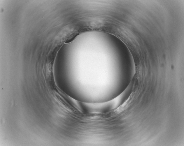 X0000088440184200705291617