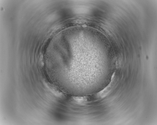 X0000088440187200705291617