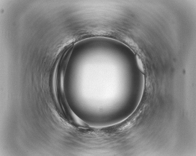 X0000088440201200705291616