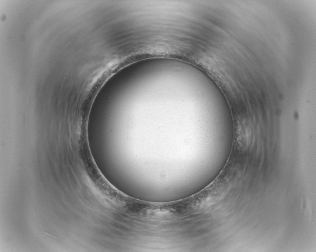 X0000088440208200705291616