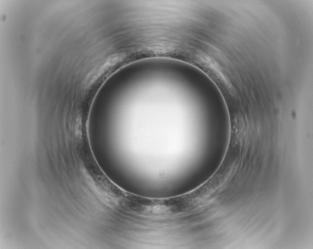 X0000088440212200705291616