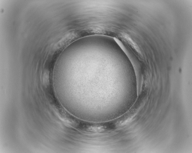 X0000088440213200705291616