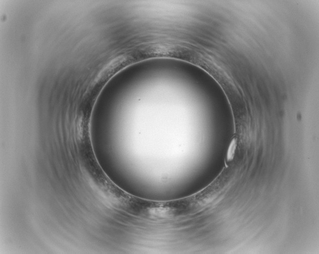 X0000088440216200705291616