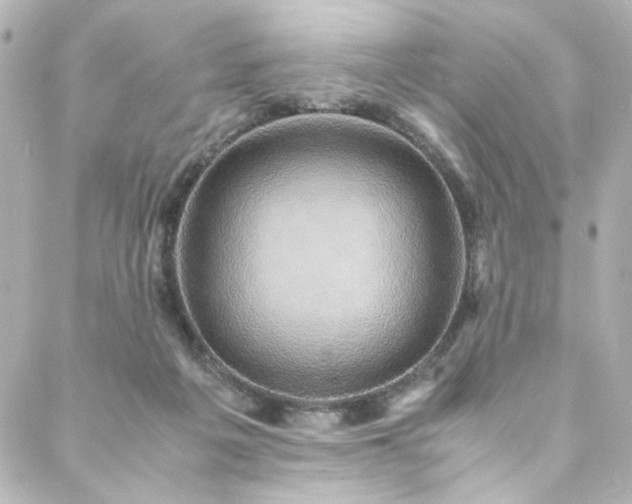 X0000088440217200705291616