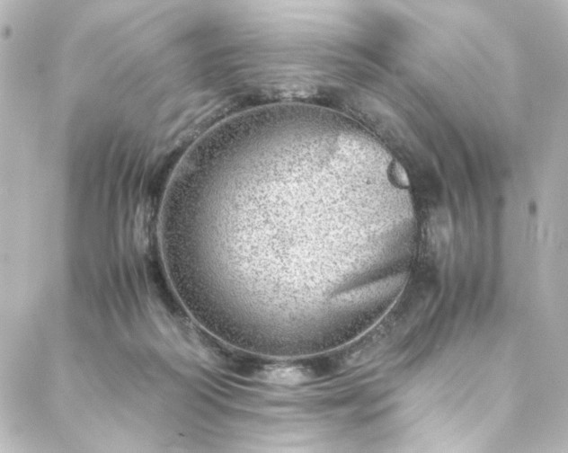 X0000088440218200705291616