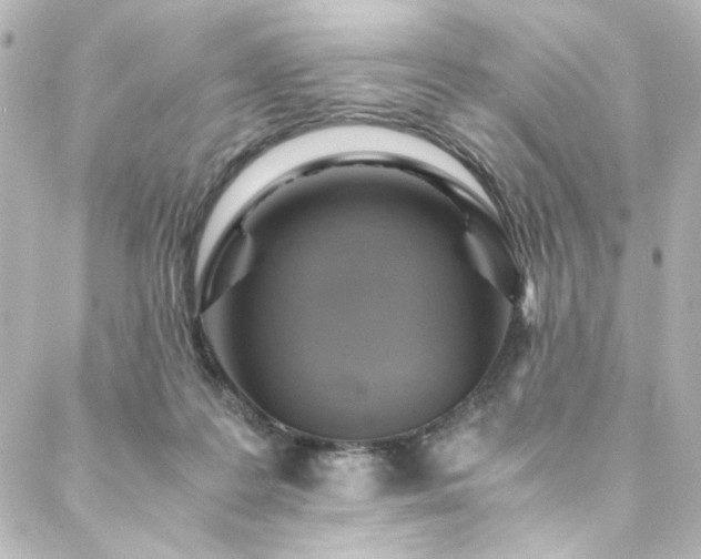 X0000088440219200705291616
