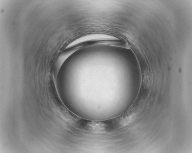 X0000088440221200705291616