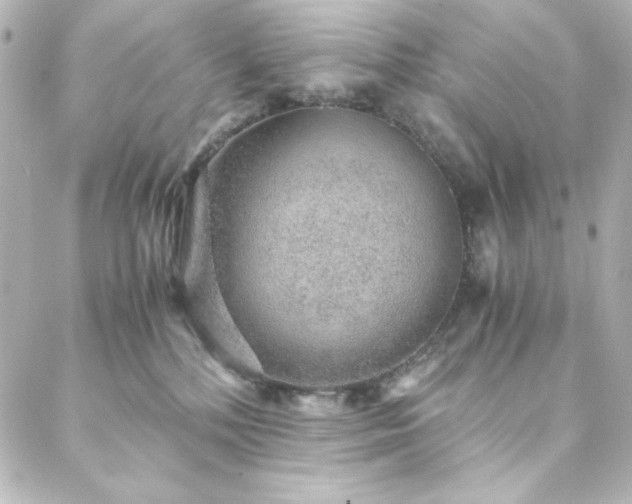 X0000088440232200705291615