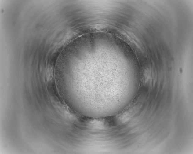 X0000088440236200705291615
