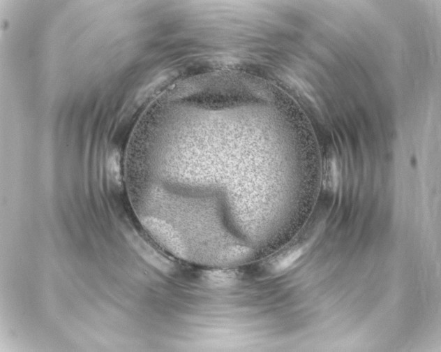 X0000088440238200705291615