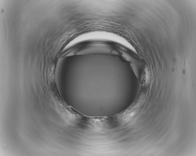 X0000088440239200705291615