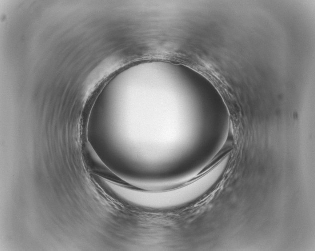 X0000088440244200705291614