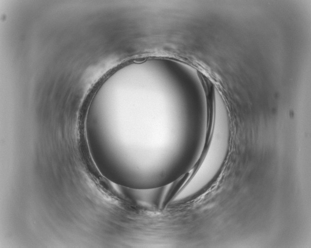 X0000088440248200705291615