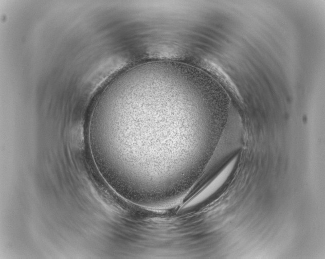 X0000088440251200705291615