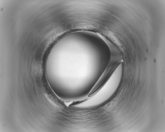 X0000088440252200705291615