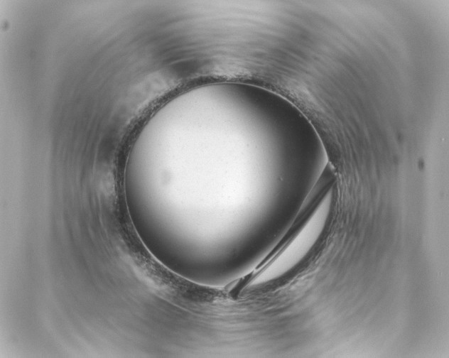 X0000088440256200705291615
