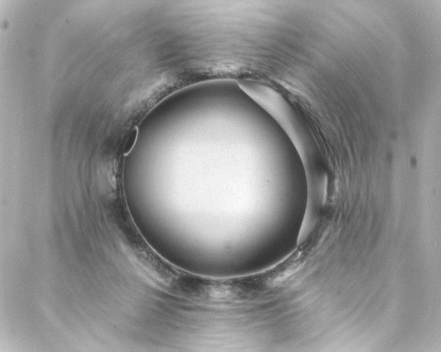 X0000088440264200705291615