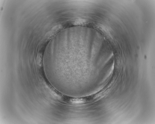 X0000088440273200705291615