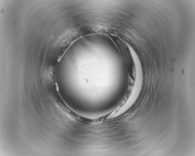 X0000088440280200705291615